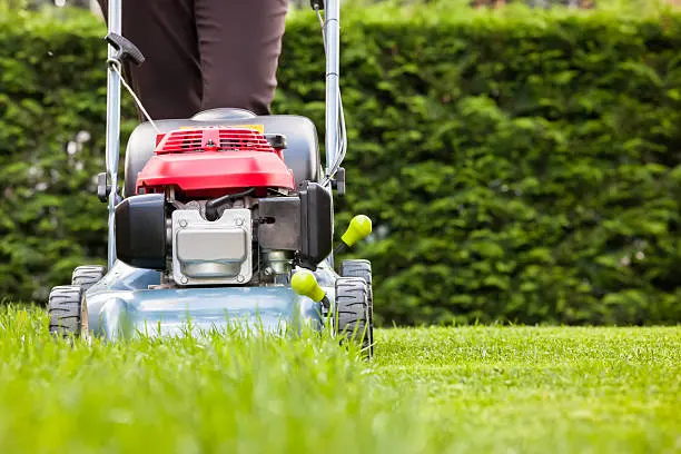 Dependable Mowing Services in Bellingham, WA