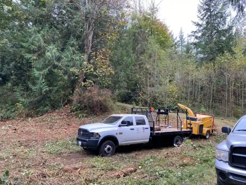 Ground Cleaning Ground Cleaning