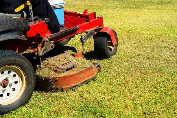 The Impact of Regular Mowing on Site Organization and Efficiency in Bellingham, WA