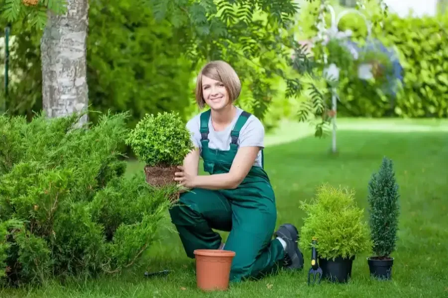 The Role Of Seasonal Care In Long-term Landscaping Success Bellingham, WA The Role Of Seasonal Care In Long-term Landscaping Success Bellingham, WA
